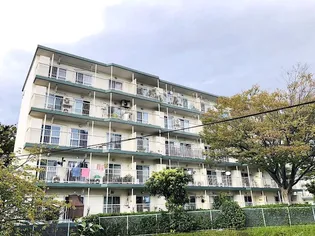 湘南西部住宅 2-11号棟【3階】の外観