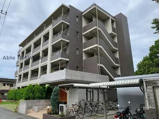 Sol Levante国府【4階】の外観