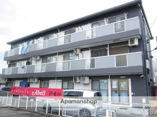 グレース朋栄の画像