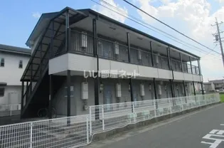 SURPLUSコスモスの画像