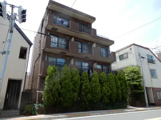 ヒラソルの画像