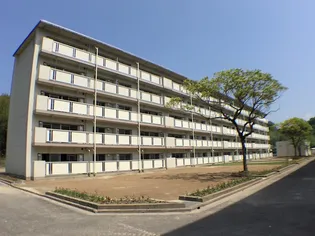 ファミール 烏帽子2号棟の画像