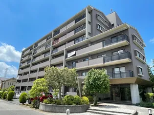 エレンシアIIの画像