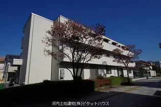 アグレアーブルの画像