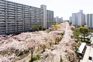 UR高島平の画像