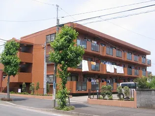 サザンパークの画像