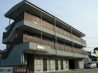 オアシスの画像