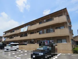 ドリーム 雨坪の画像