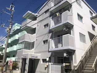 シャトレ池間の画像