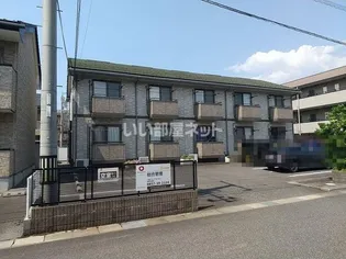 フローラMの画像