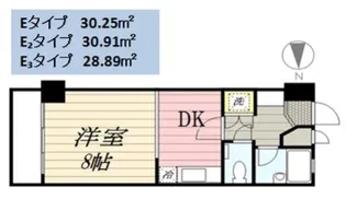 パセール長良【5階】の間取り