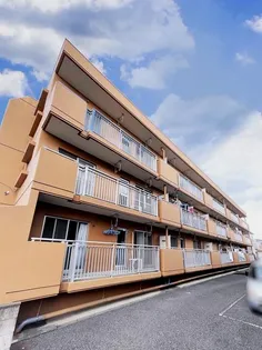 戸ヶ崎第一ニューハイツ【2階】の外観