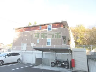 コッティ30の画像