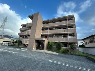 パライソの画像