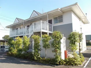 ラフィーネCの画像