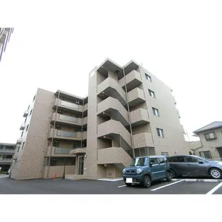 ユーミー桜の画像