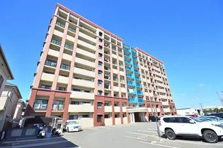 スカイウィングの画像