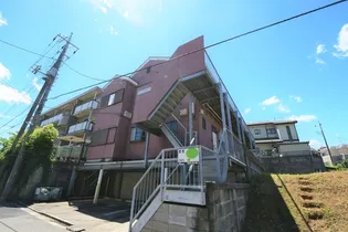 ピュアブルックの画像