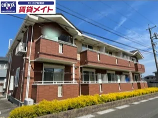 マレ ステルラの画像