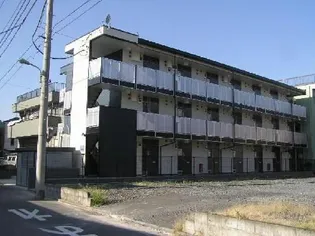 APILAの画像