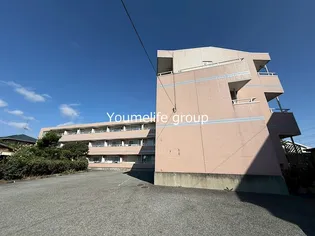 神奈川県伊勢原市上粕屋【マンション】の外観