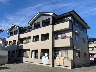 ロキシー レーヴBの画像
