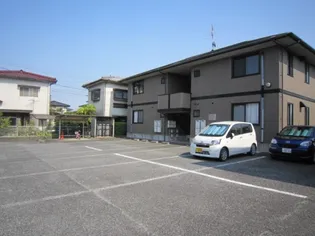 カメリアIIの画像