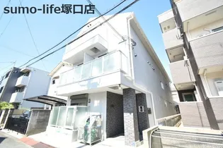 コートカトレアの画像