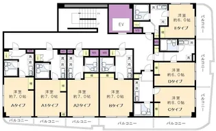 グランデール北野【10階】の間取り