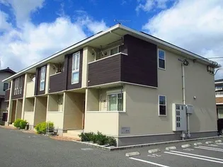 プラシードⅠの画像