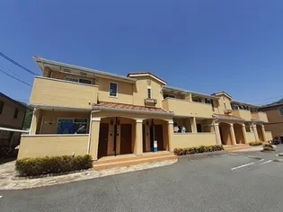 ピチカートの画像