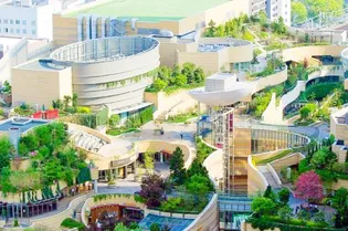 カウニス丸山通【7階】の周辺