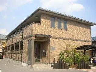 ルピナスの画像