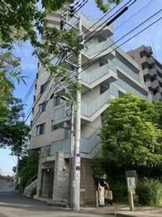 カメリアコートフタコタマガワの画像