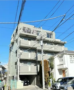 ブルームの画像