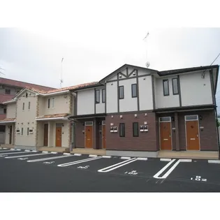 コモド グレイスの画像