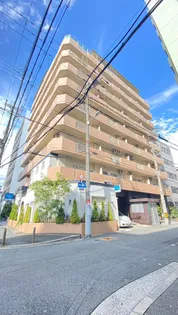 大阪府大阪市淀川区西中島6【マンション】の外観
