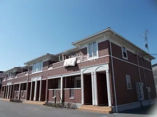 ライブ ウィルの画像