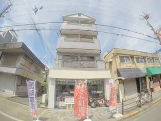 プロヴァンスマユミの画像