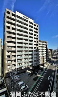 アルファシオサウスフォンテの画像