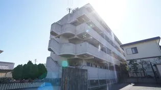 ミニュートフォートの画像