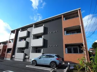 エヴァーアッシュの画像