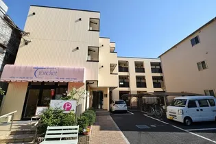 ピエ デ トロンシェの画像