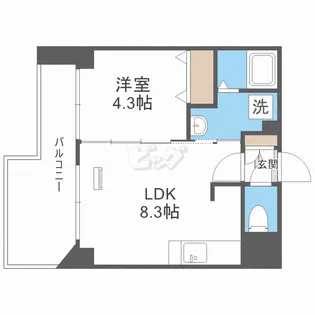 クラッセ北大通りIII【4階】の間取り