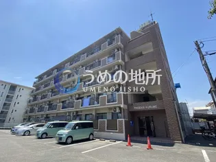 フェニックス久留米の画像