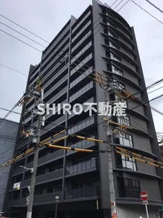 PONTE CIELOの画像