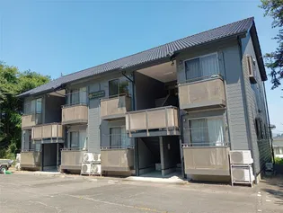 シティーワンズツルベの画像