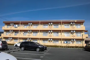 フェリーチェの画像