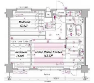 グランド・ガーラ白金高輪【12階】の間取り