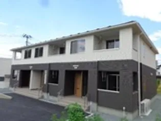 モンステラの画像